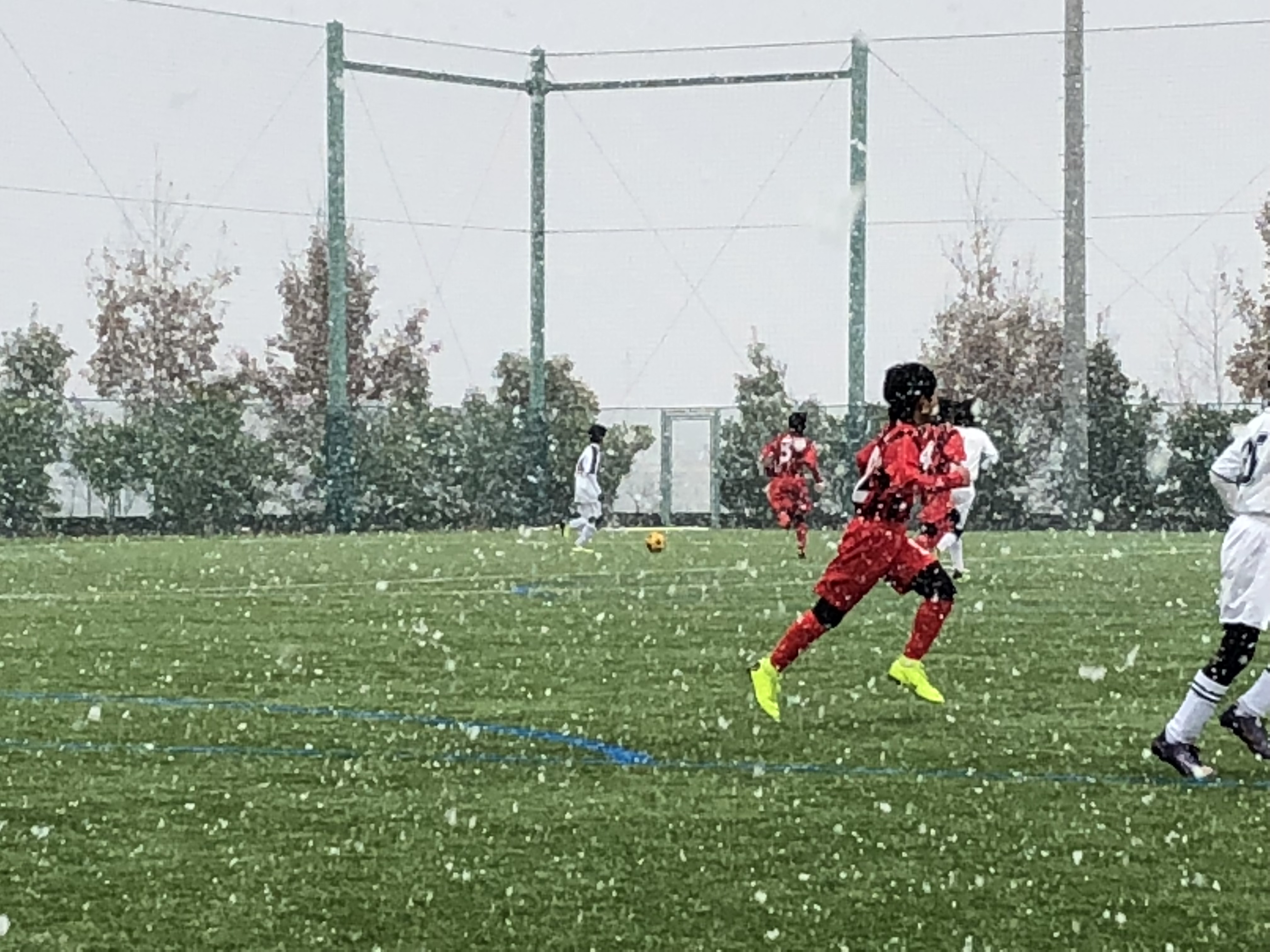 D26372A2-35A2-4465-BF1C-2F441BEF2D58